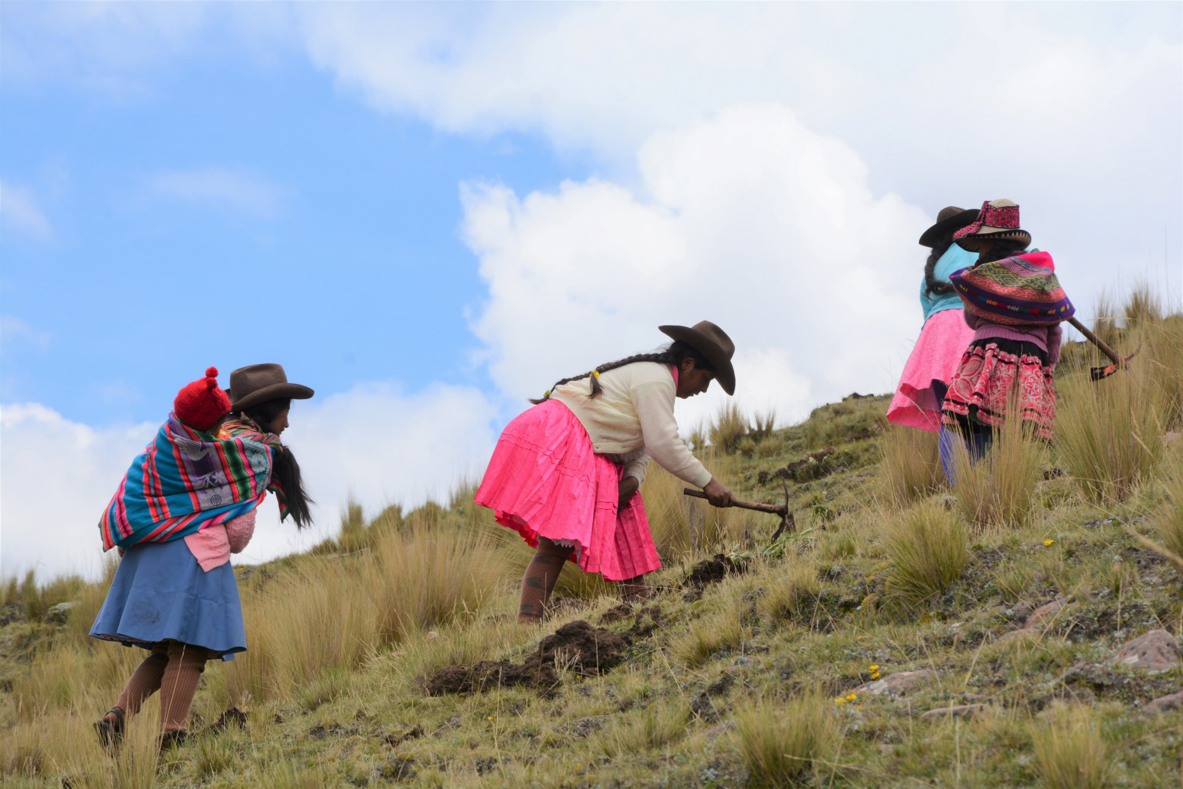 Three women in traditional Andean clothing working on a grassy hillside, using tools to tend the land under a blue sky with clouds.