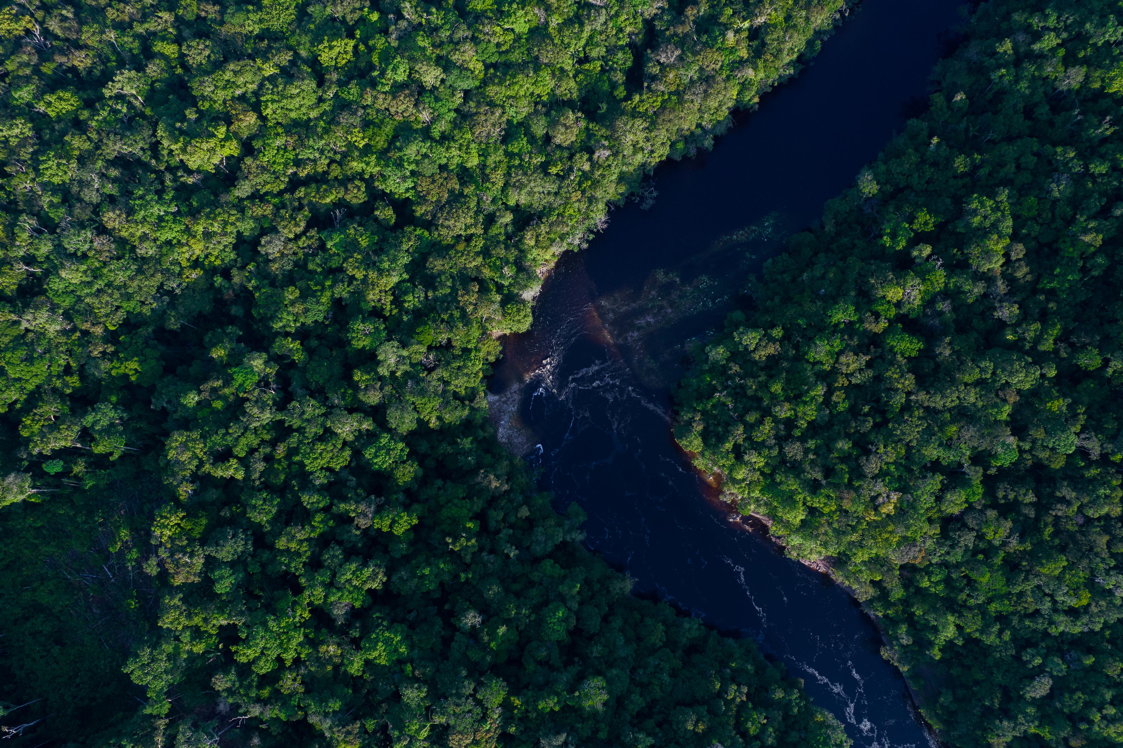 Aerial view of a winding river cutting through dense green forest, creating a stark contrast between dark water and lush vegetation.
